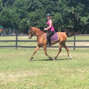 Meet your Posher, Kylie